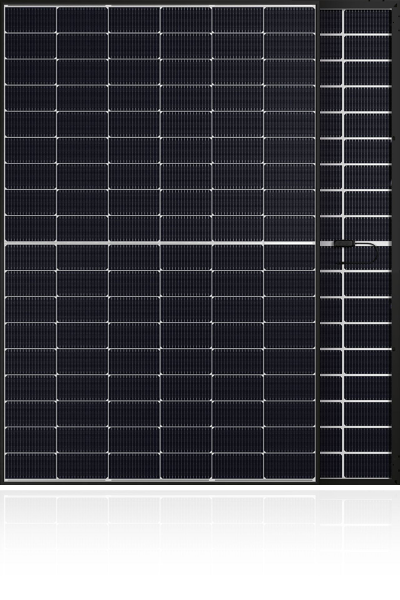 Фотоэлектрический модуль стекло-стекло FuturaSun Silk ® Duetto ARCH-00035979 - Вид №1