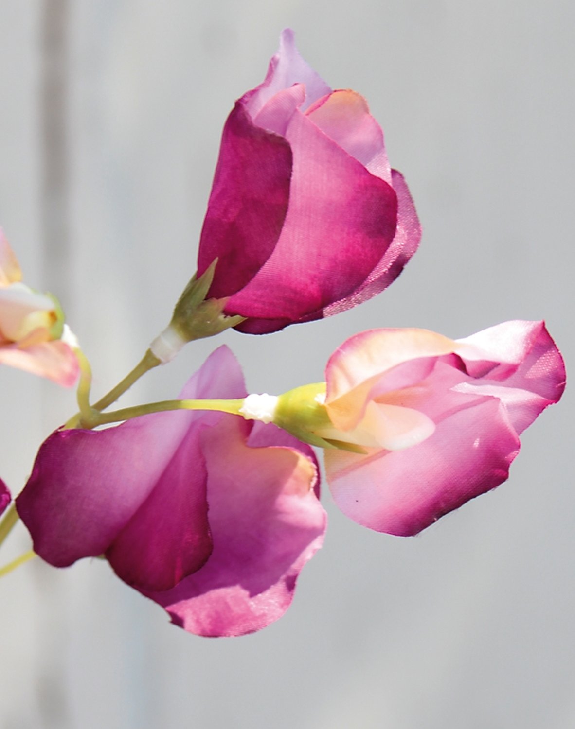 3181 005 a3 Вики искусственные, 4 штуки, 48 см, разноцветная миткалевая роза H-andreas  - Вид №10