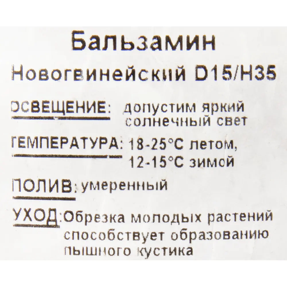 Бальзамин Santreyd - яркий комнатный цветок с непрерывным цветением 12510702 STLM-0963231 - Вид №2