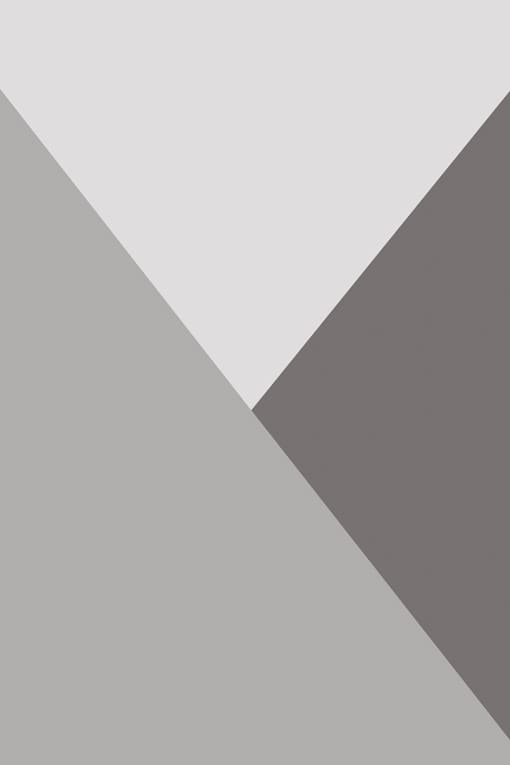 01D  Arcom Обои декоративные для ванны STARC312