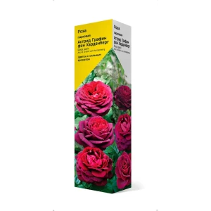 Роза парковая h39 см 89402555 STLM-2207804
