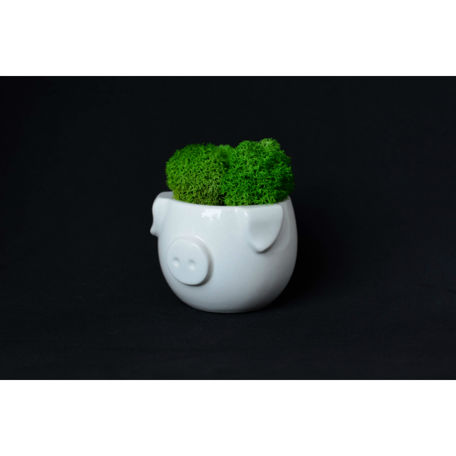 MIN-1-03 Набор для выращивания eco мини-кашпо «минипиг» Экочеловеки  - Вид №1