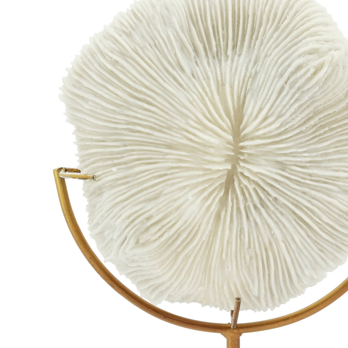 600877-10 ABHIKA КОРАЛЛ ДИСК + ПОДСТАВКА WHITE  - Вид №1