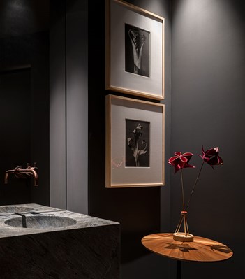 121X Раковина / Кухня vola  - Вид №45