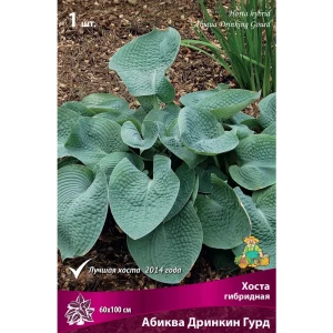 Хоста гибридная «Абиква Дринкин Гурд», 1 шт. 82118735 STLM-2059782
