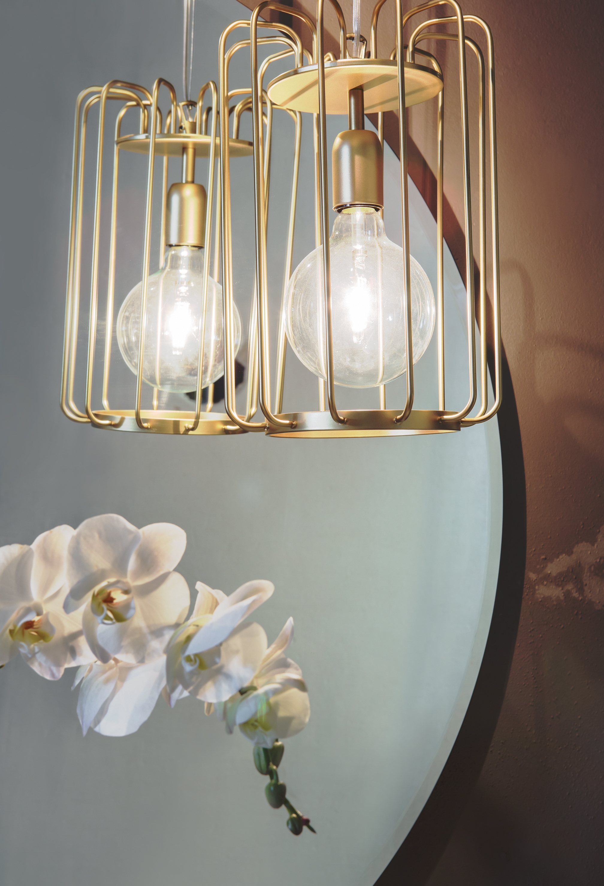 AC12 Compabit Acanthis 2017  - Вид №4