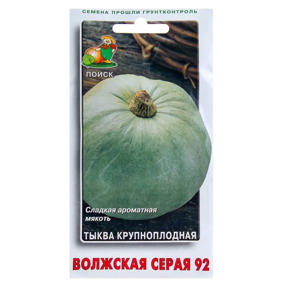 Семена Тыква крупноплодная «Волжская серая» 18358625 STLM-2145861 ПОИСК 