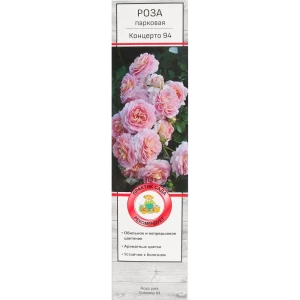 Розы парковые «Концерто 94» 18348638 STLM-2162931