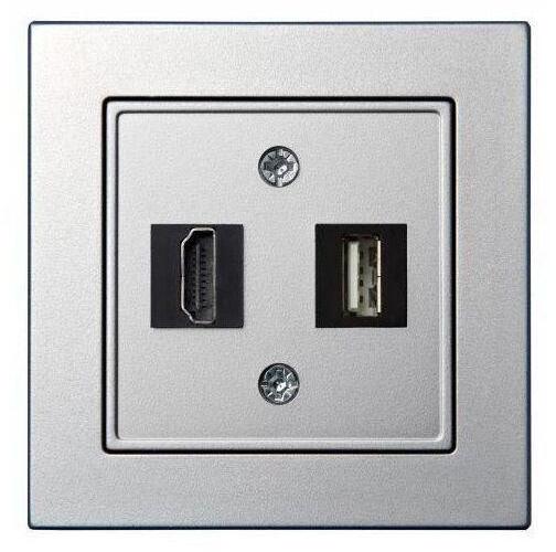 28-1856 Розетка HDMI/USB Liregus Epsilon серебро