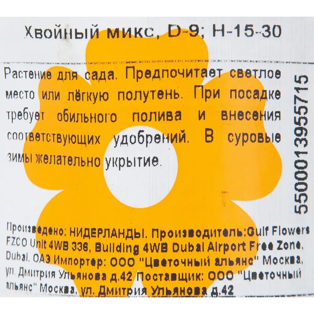 Хвойные микс Промо 9x20 см 82619470 STLM-2056963 Santreyd  - Вид №2