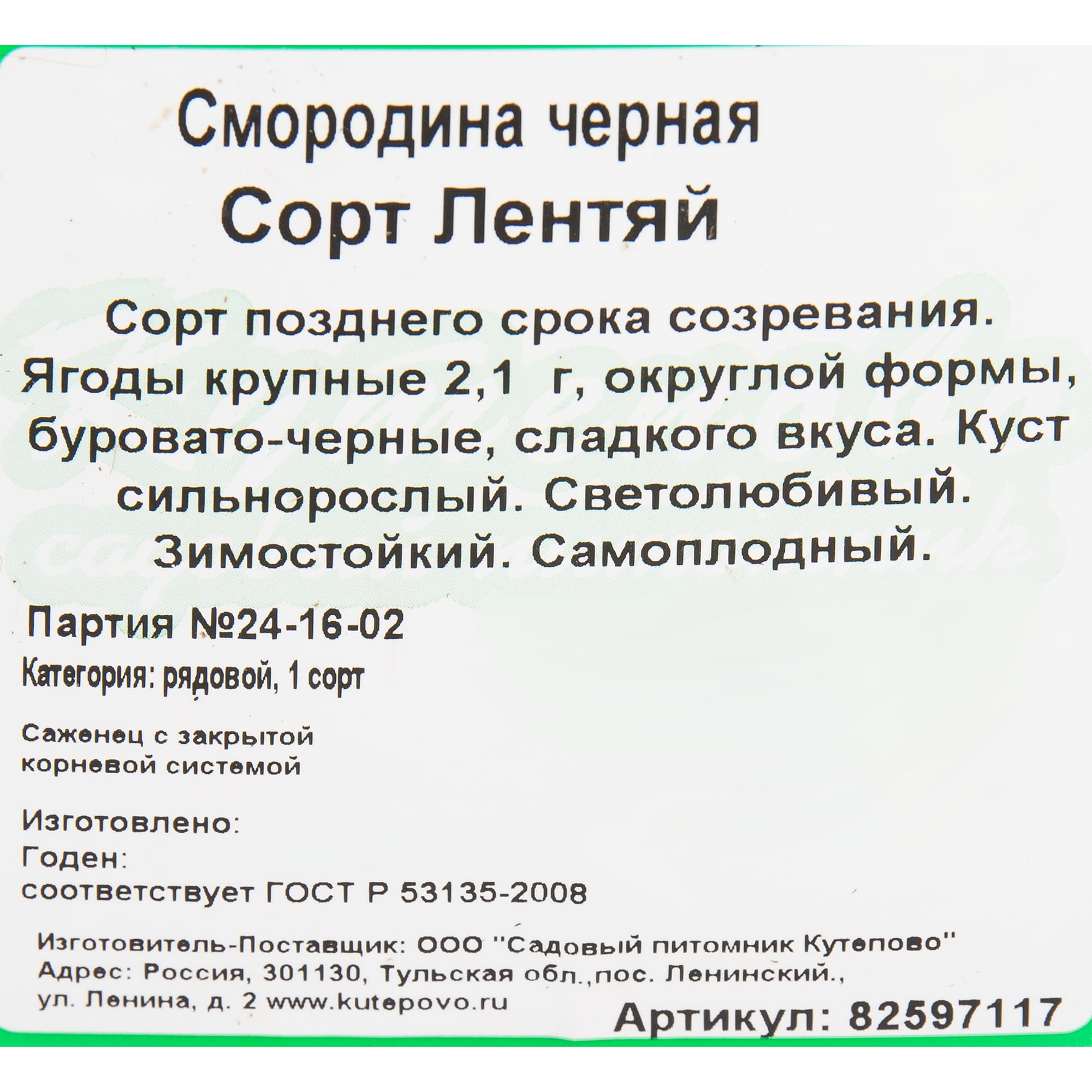 82597117 Смородина чёрная «Лентяй» C2 высота 40 см Santreyd  - Вид №1