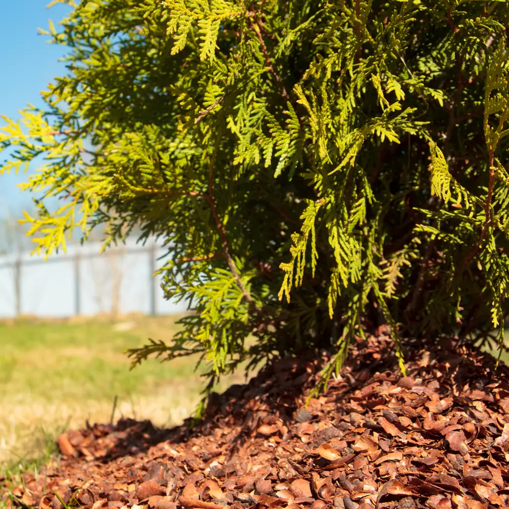 Santreyd Мульча из какао-скорлупы с шоколадным ароматом 60 л 88509502 STLM-0957429 - Вид №6