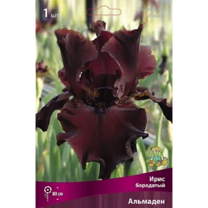 Ирис бородатый Альмаден - луковицы для яркого сада 89433485