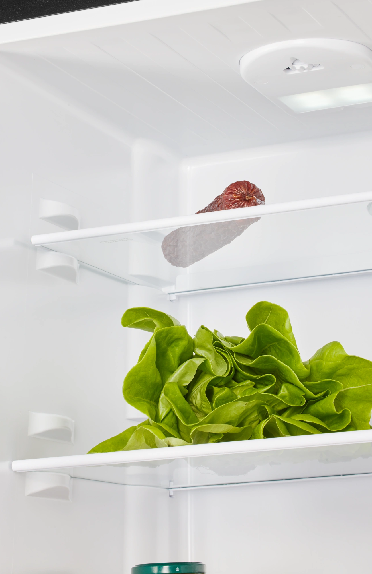 9291891 Холодильник с морозильником   NORD NRB 124 B черный STDN-0032645 - Вид №5