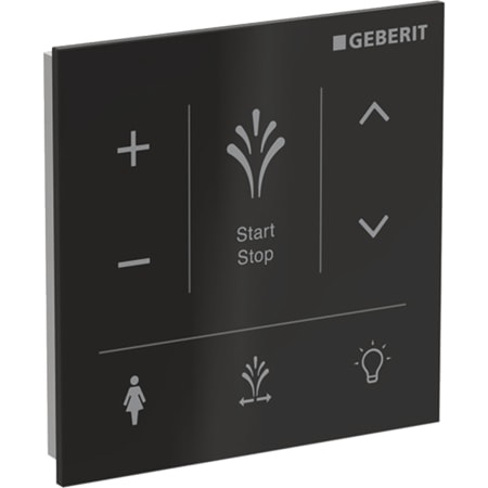 147.041.SJ.1 Настенная панель управления для Geberit AquaClean Sela Geberit  - Вид №4