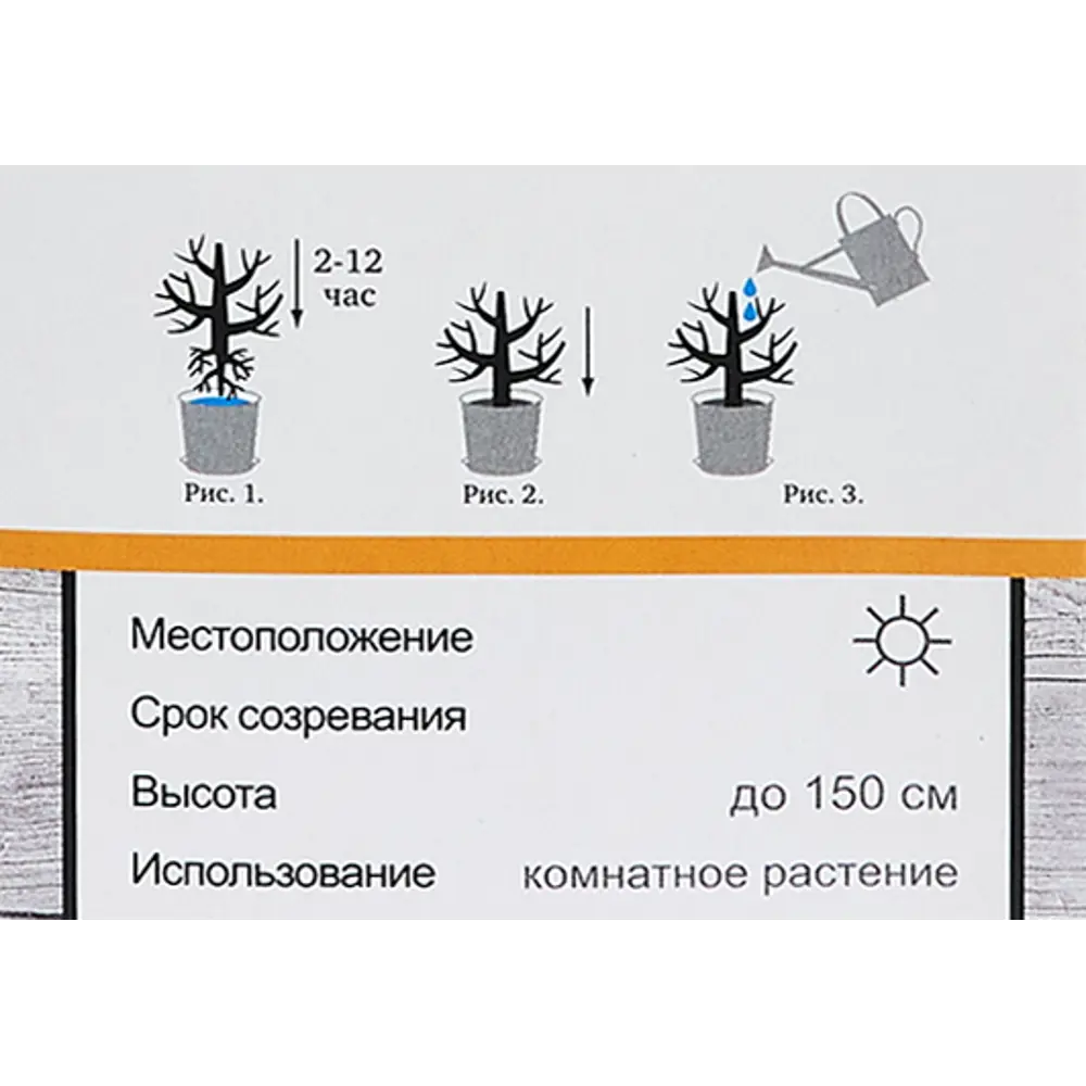 Инжир Айс Кристал h40 см 86543985 STLM-2023235 Santreyd  - Вид №4