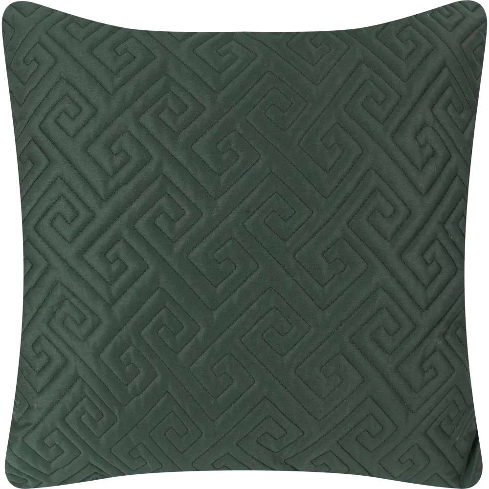 Подушка Cactus 1 50x50 см цвет зелёный 84631652 STLM-2211529 SEASONS 