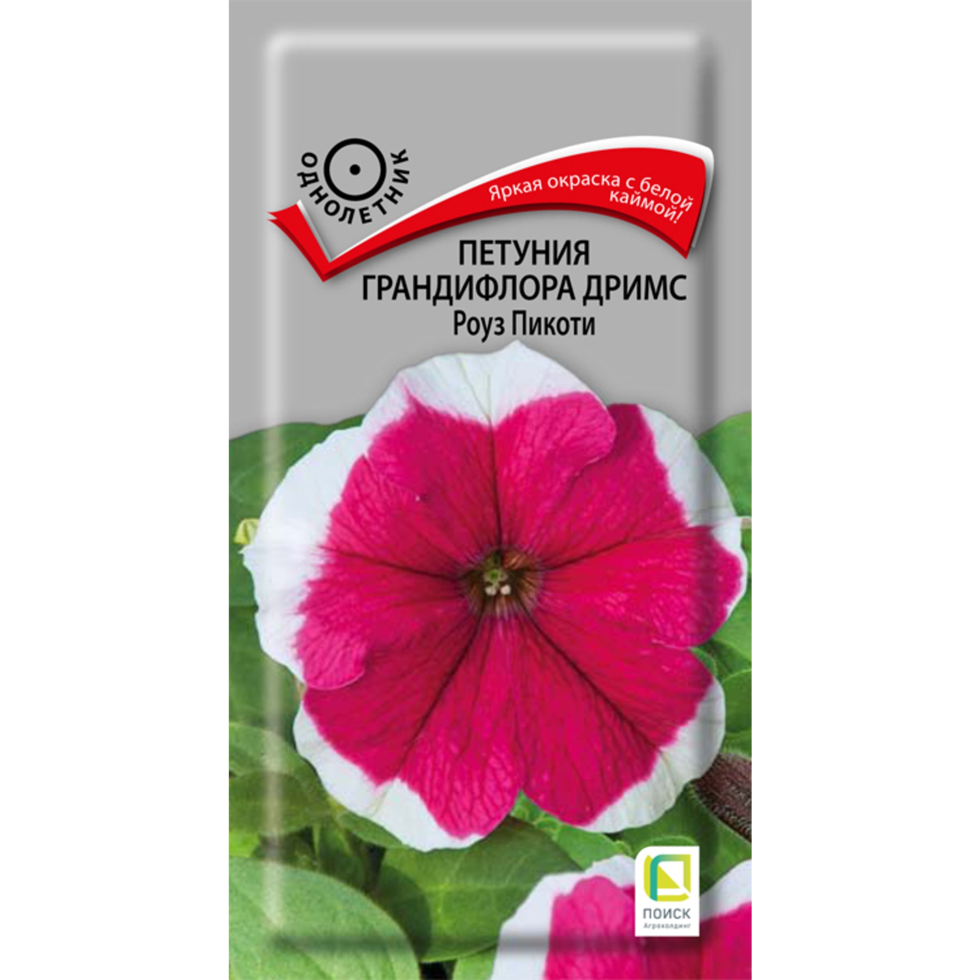 83227408 Семена Петуния Грандифлора Дримс «Роуз Пикоти» Santreyd 