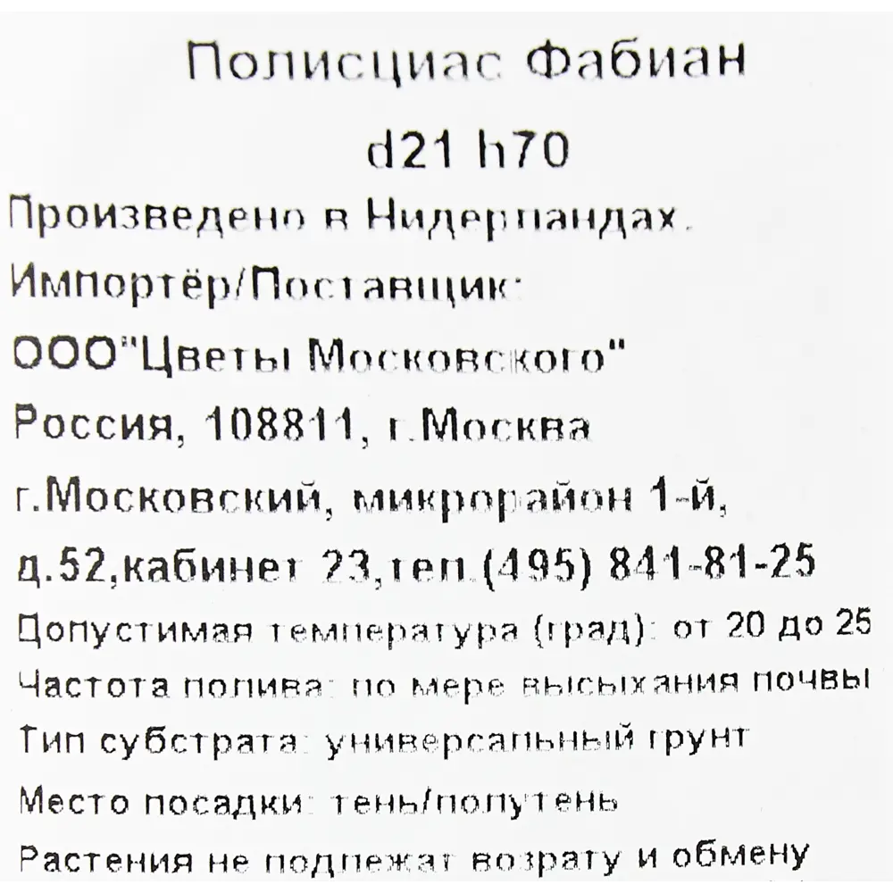 Полисциас Фабиан 21x70 см 82892073 STLM-2062746 Santreyd  - Вид №2