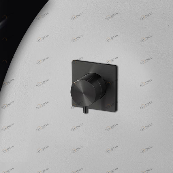 Девиатор двухрежимный карбон Aico Radomonte DEV10C