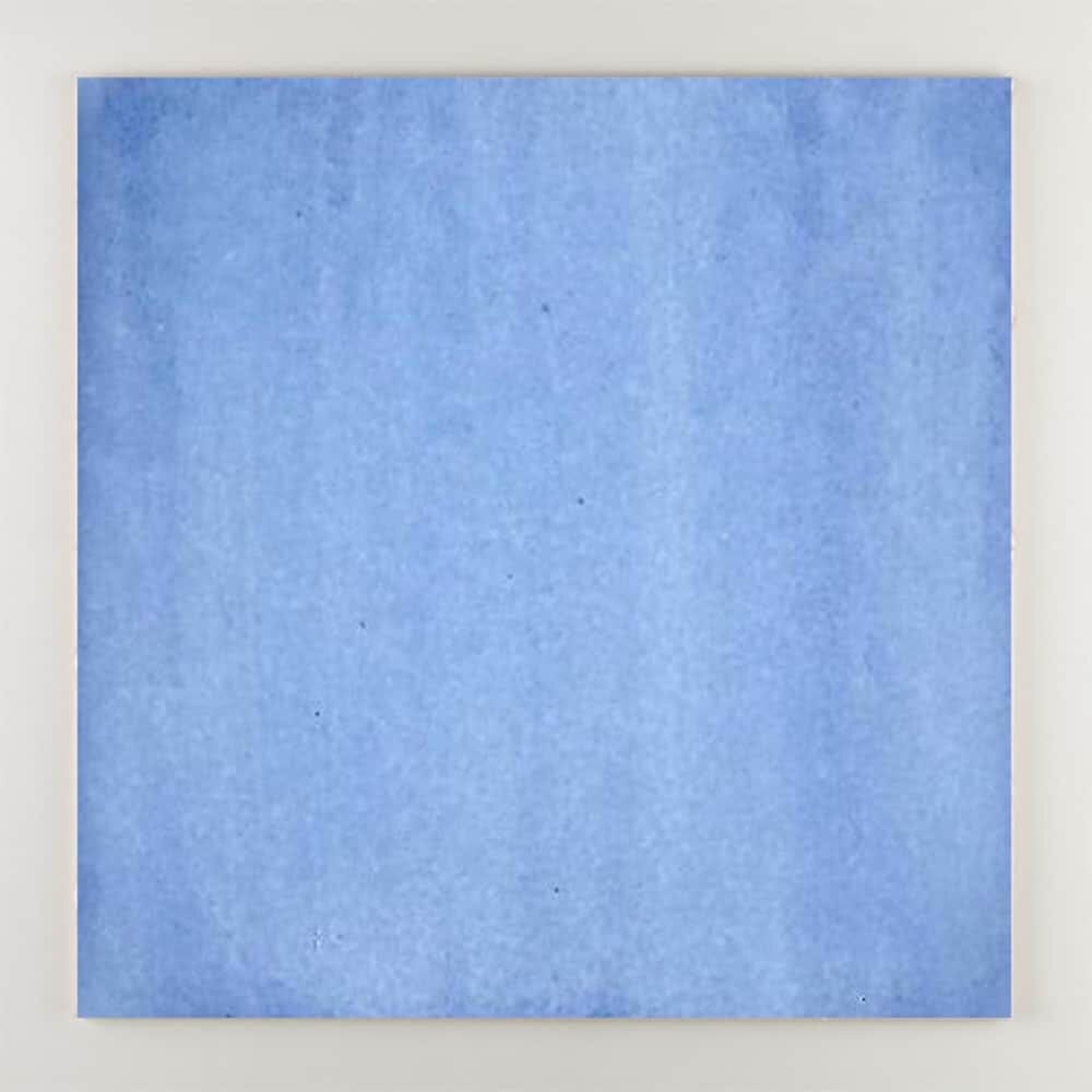 Пол / покрытие ручной работы La Riggiola одноцветный ARCH-00131013 - Вид №33