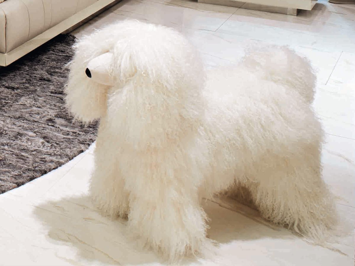 Klipper Пуф для собак Visionnaire  - Вид №3