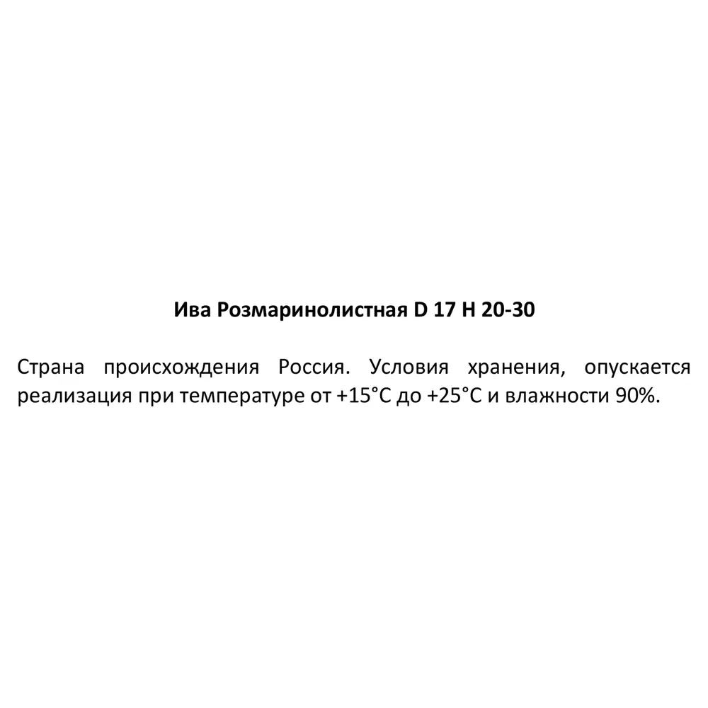 Ива розмаринолистная ø17 h20 - 30 см 87564675 STLM-2136614 Santreyd  - Вид №2