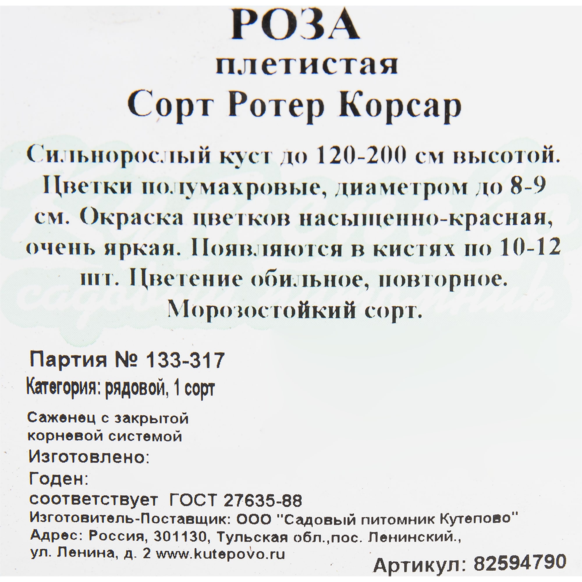 82594790 Роза плетистая «Ротер Корсар» 15x30 см Santreyd  - Вид №1