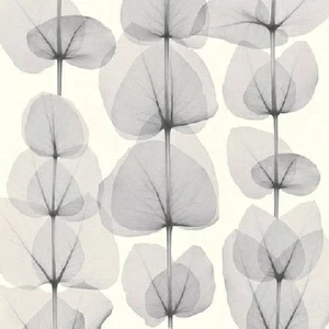 34245-2 Обои A.S. Creation X-Ray