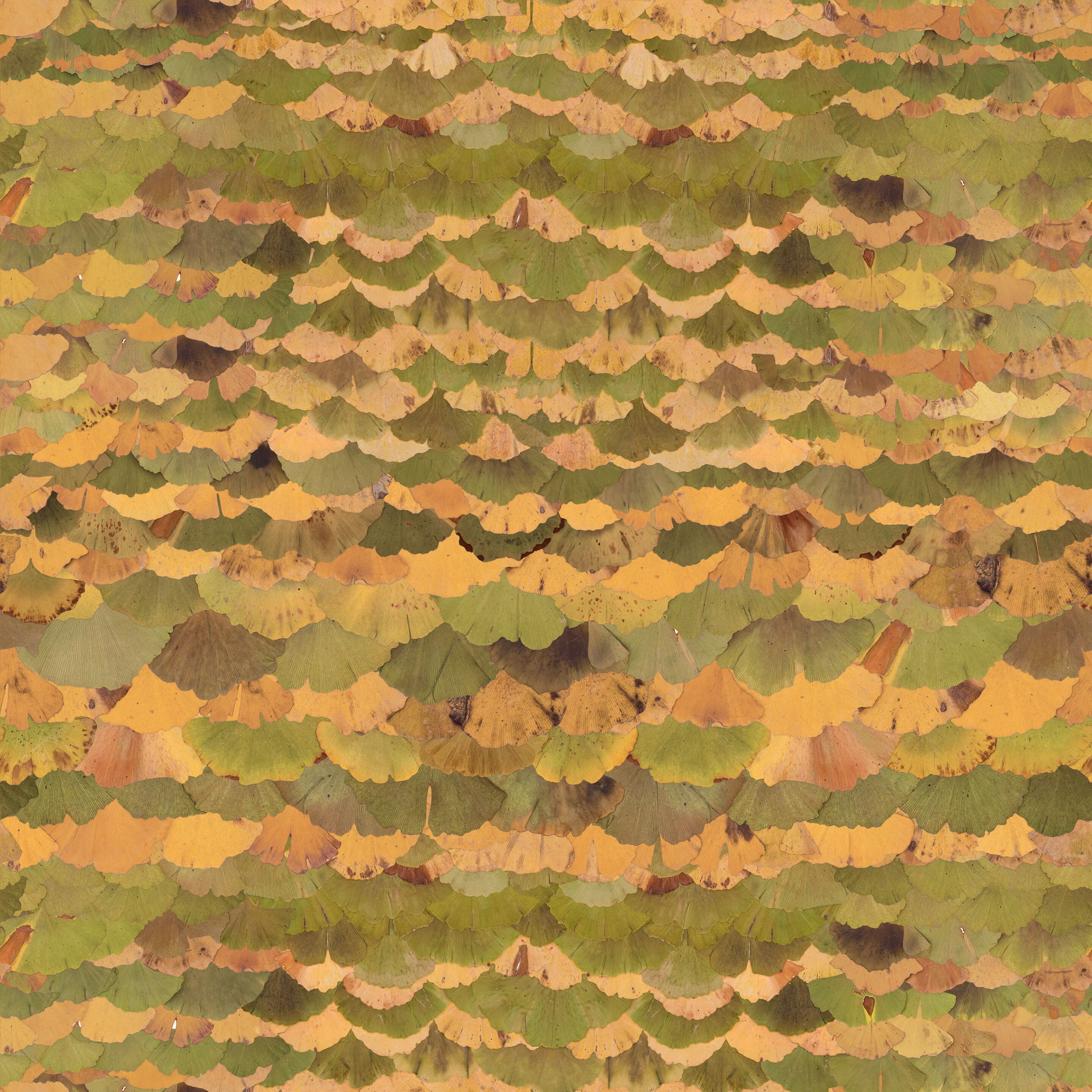 Обои с цифровой печатью Inkiostro Bianco Флора ARCH-00139584 - Вид №1