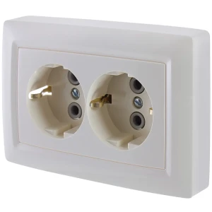 Розетка Reone 2 разъема с заземлением цвет слоновая кость