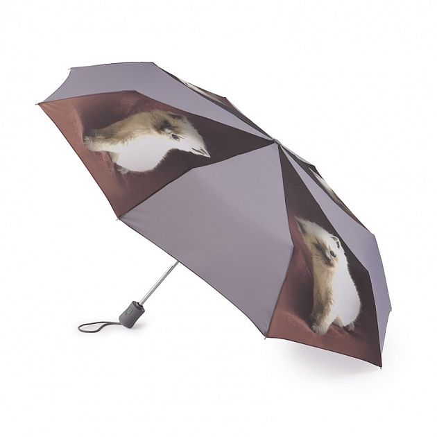 R346-3362 Зонт женский автомат R346 Open/Close 4 Fulton 