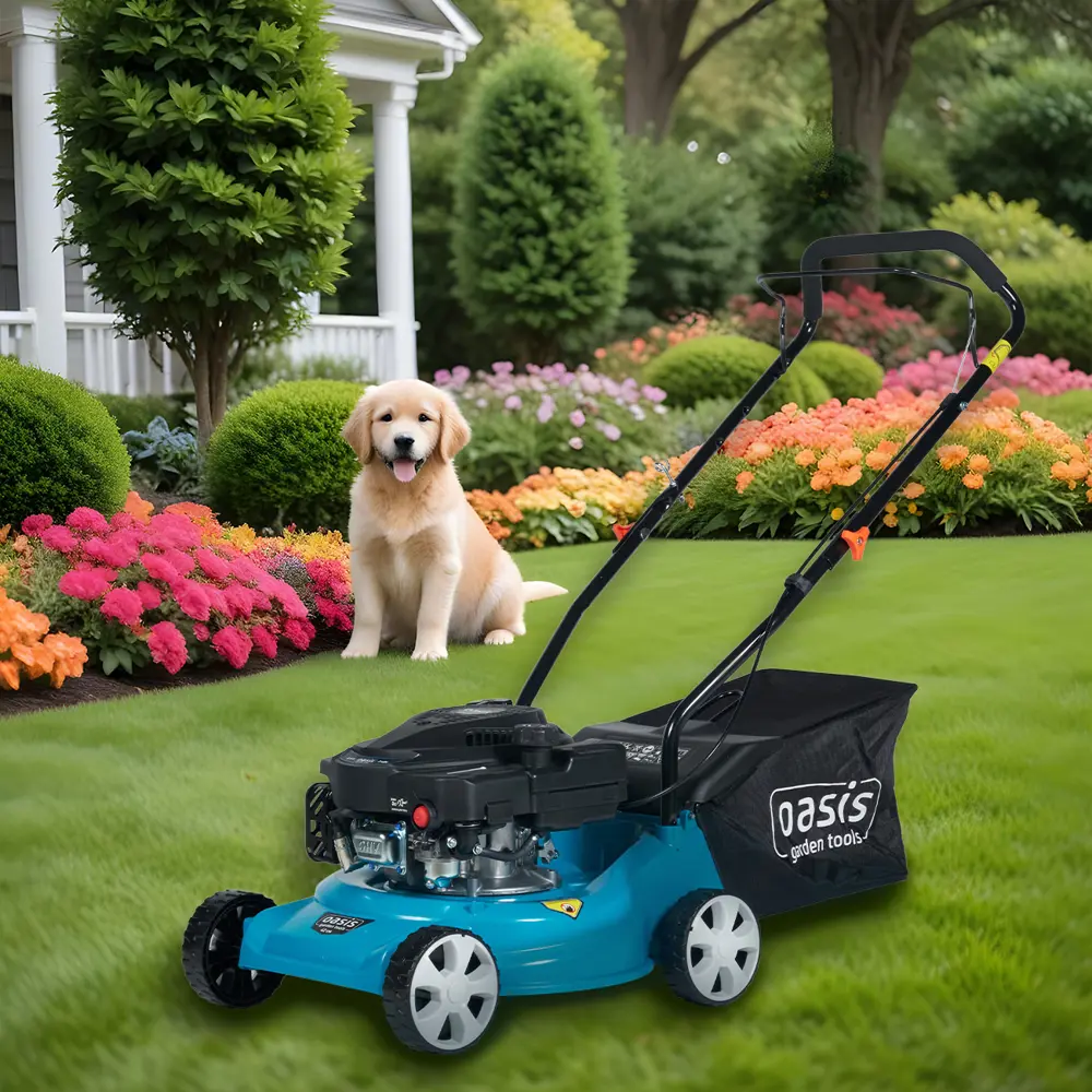 Бензиновая газонокосилка Oasis GB-15 для идеального газона 89361534 STLM-0962138 - Вид №9