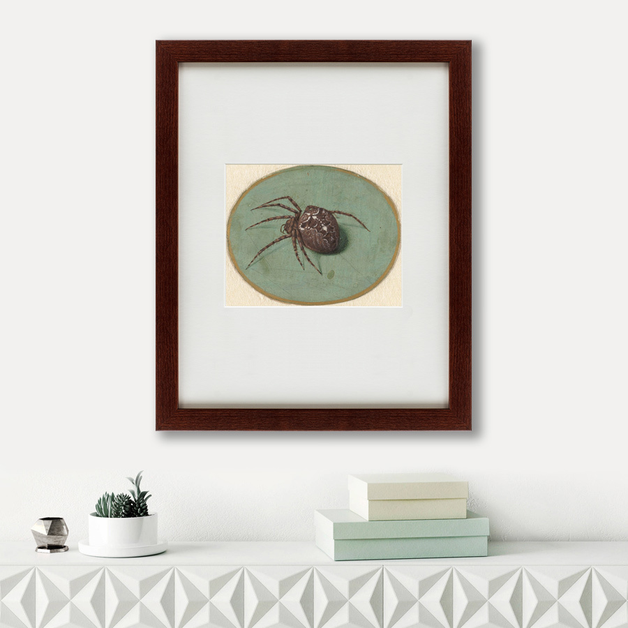 Картина паук: Spider, 1690 КАРТИНЫ В КВАРТИРУ  135747 Коричневый;серый  - Вид №1