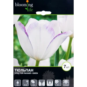Тюльпан Гвен 12/+, 7 шт 16397786 STLM-2171954