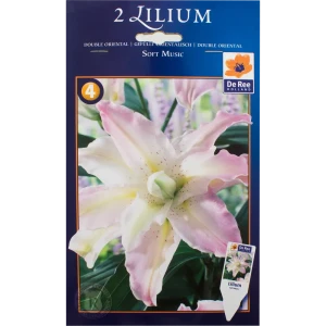 Лилия восточная махровая «Софт Мьюзик» 82120089 STLM-2074106