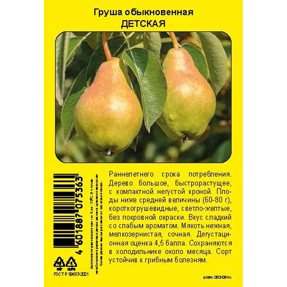 Груша Детская пакет h50 см 89353502 STLM-2033175 Santreyd  - Вид №4