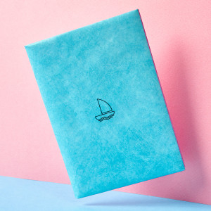 NC-010 Обложка на паспорт - new w New wallet