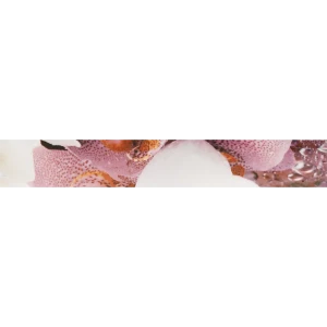 Бордюр Orchid 4.2х30 см цвет белый/лиловый 18075625 STLM-2080322