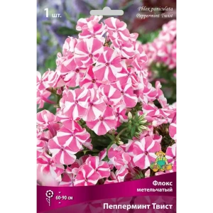 Флокс метельчатый Пепперминт Твист луковица I 83600083 STLM-2055596
