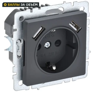 Розетка USB встраиваемая IEK Brite РЮш10-2-БрГ с заземлением цвет графит 87761579 STLM-2100557