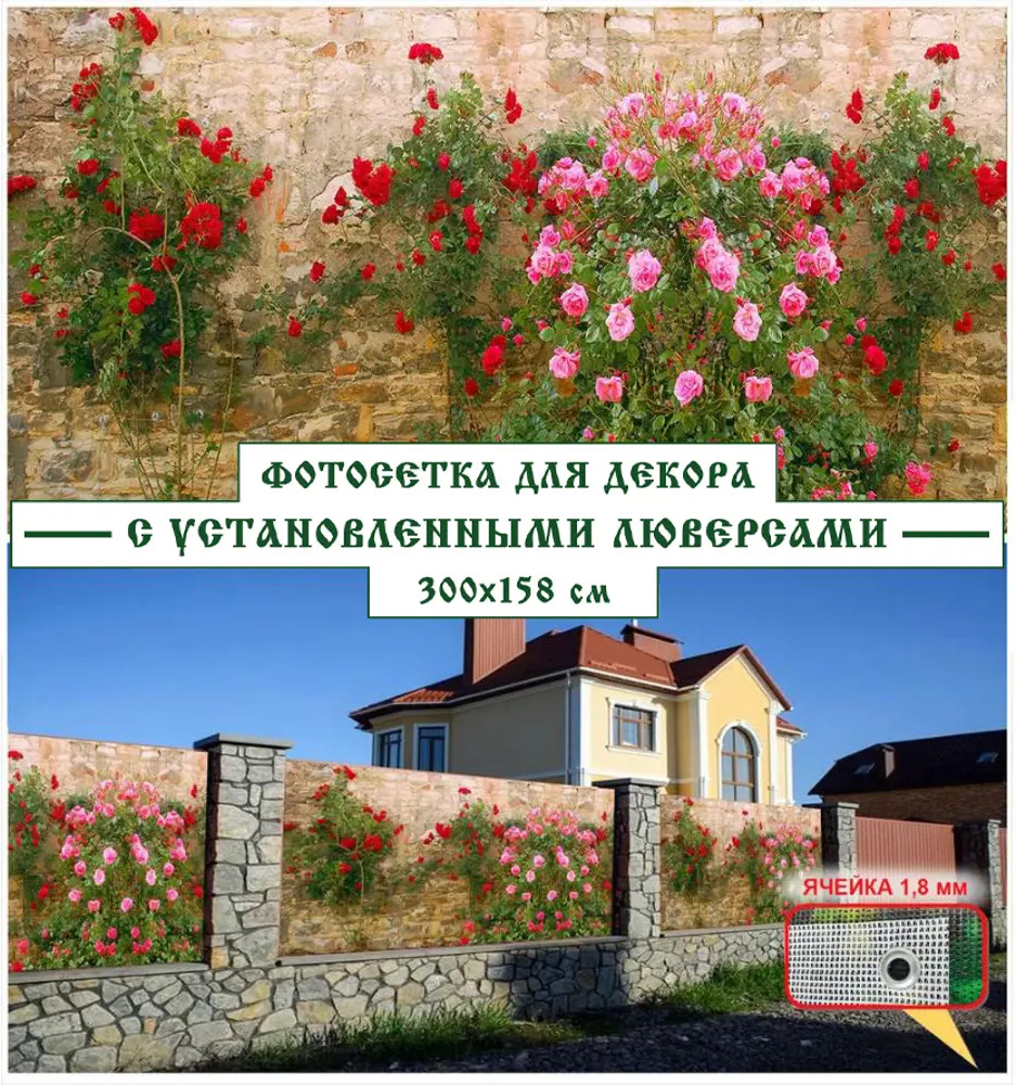 90198158 Фотосетка Мечта MO14, Розы у стены 158x300см STLM-0129820