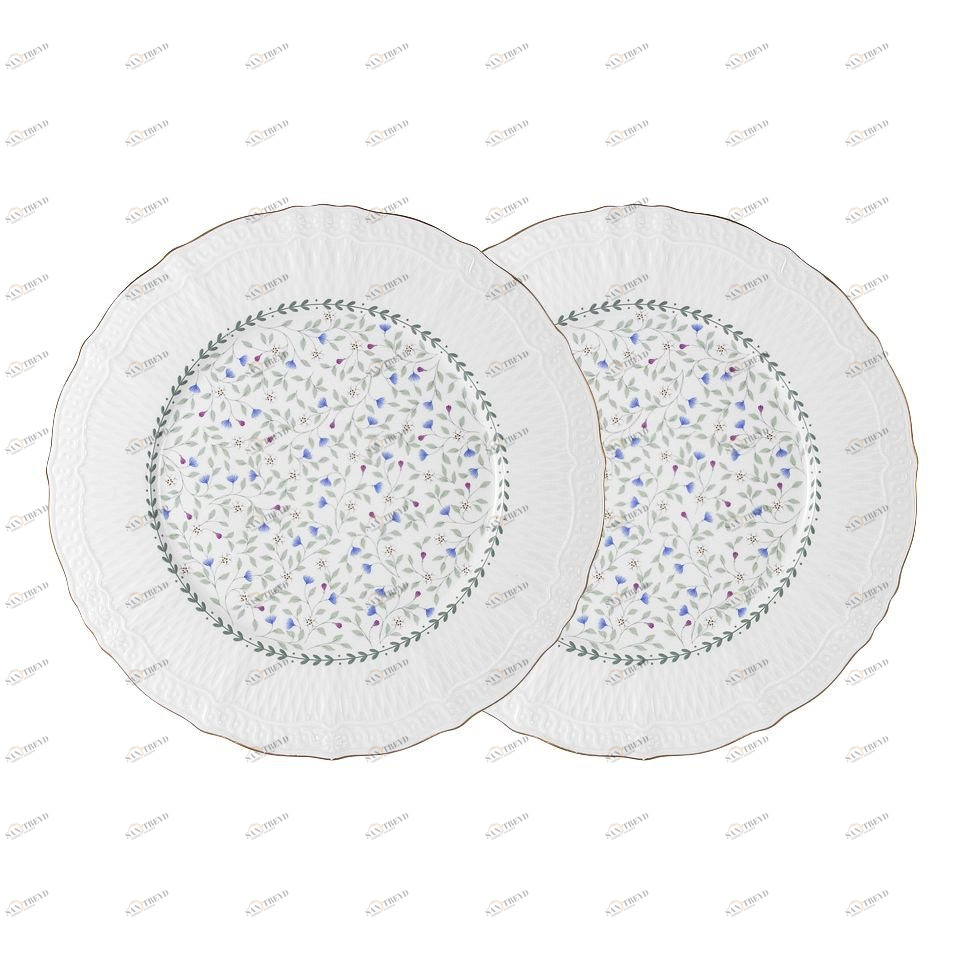 Тарелки фарфоровые обеденные 2 шт белые "Грация" COLOMBO ГРАЦИЯ 00-3946477 Белый