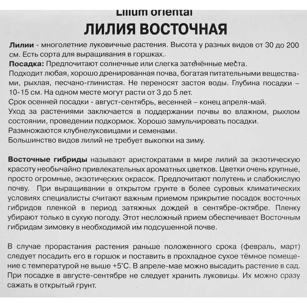 Лилия восточная Мах Лотус Джой ПОИСК STLM-2118241 - Вид №2