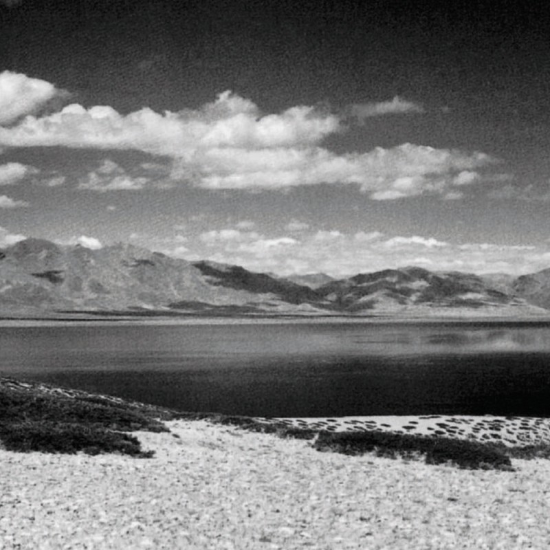 0124/CX38 Bottiglia Adriani e Rossi белый  - Вид №1