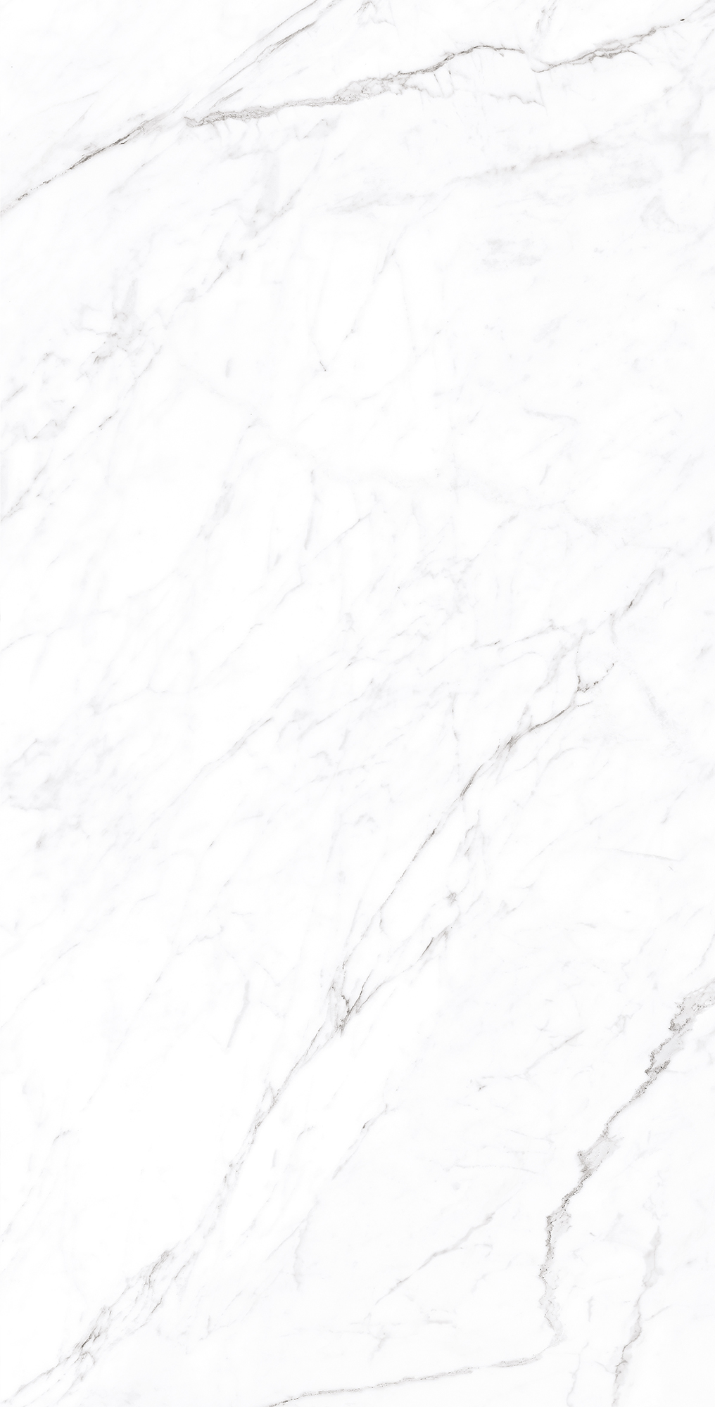 Керамогранит CORALINA WHITE 60х120 Creanza CP4003-A - Вид №5