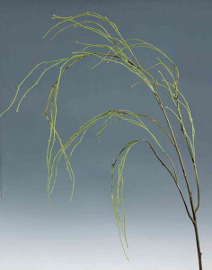 5359 860 a3 Стебель ивы пластиковый, 160 см, зелено-коричневый H-andreas