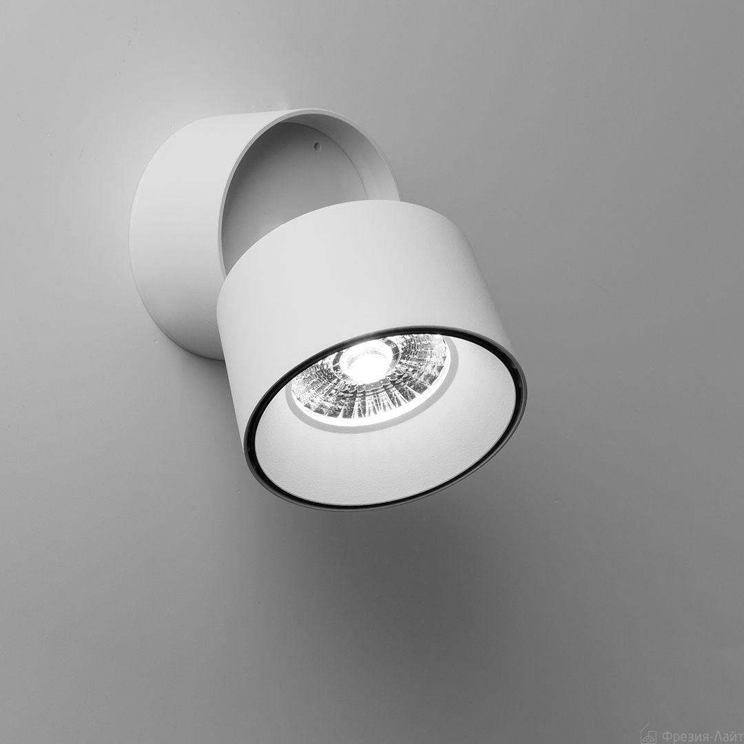 Frezia Light 1015 белый светильник настенно-потолочный 119264