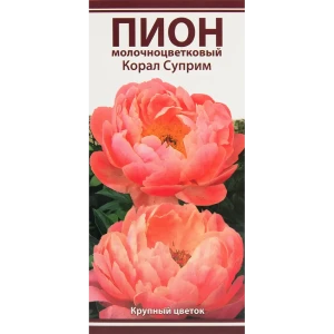 Пионы травянистые Корал Суприм 82530285 STLM-2172290