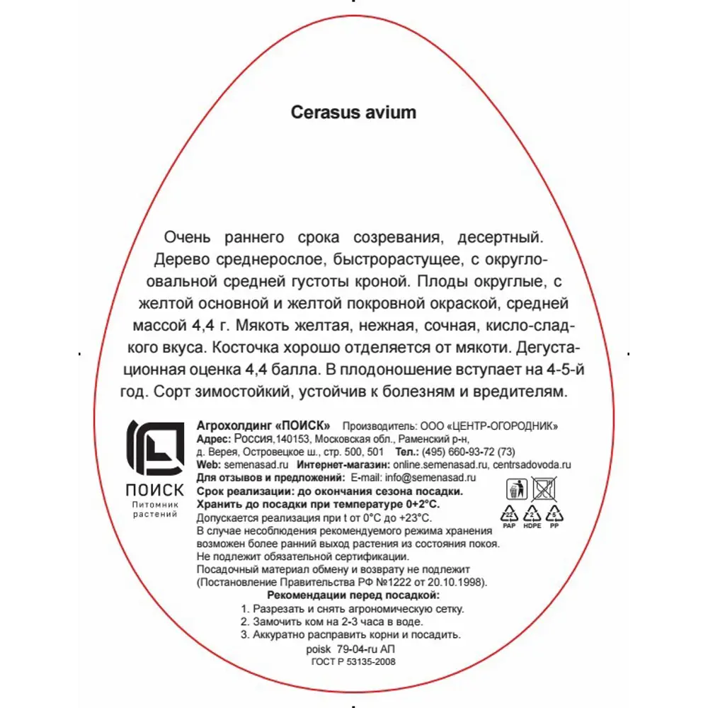 Черешня Чермашная h220 см 83791260 STLM-2114768 Santreyd  - Вид №2
